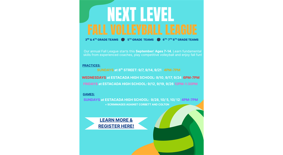 2025 NEXT LEVEL VOLLEYBALL FALL LEAGUE